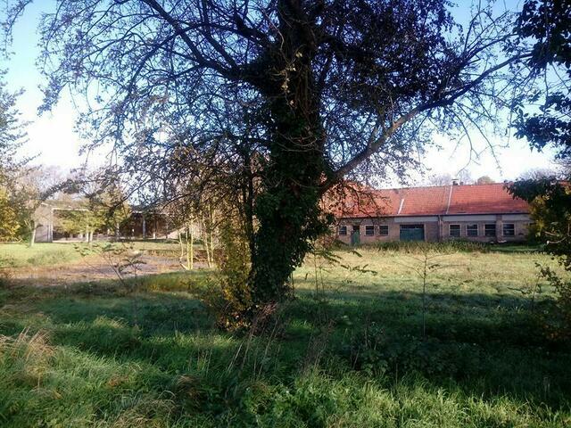 Hier am Winnenhof steht gerne mal Dietmars Blitze ;-)  Zu sehen in "Henghasch".  (Dikopshof Wesseling)