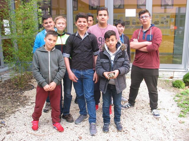 Alle 5. Klassen übernahmen in diesem Jahr eine Patenschaft für eine Schildkröte. Hier sehen wir die Jungens der Übergangsklasse 5.