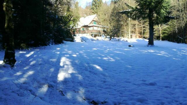 Winter am Forsthaus | Foto: Vierlinger/van Langen