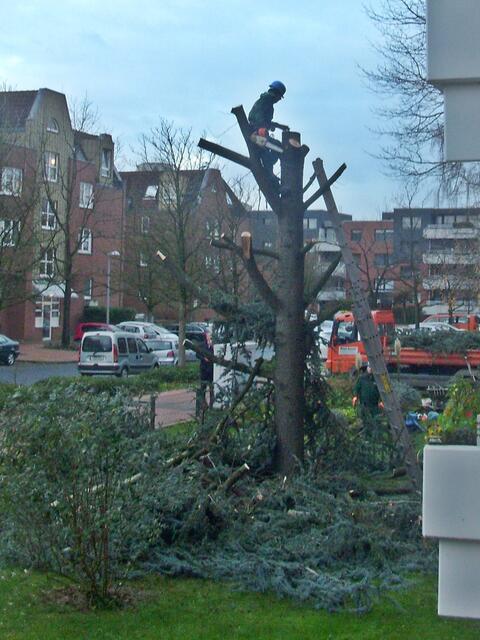 Entkleidet...