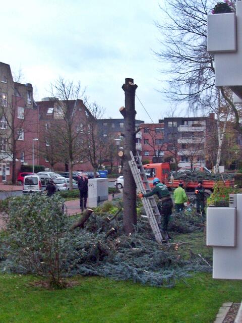 Obelisk der Traurigkeit...