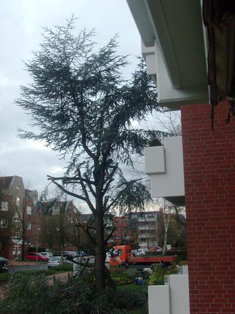 Der Anfang vom Ende...