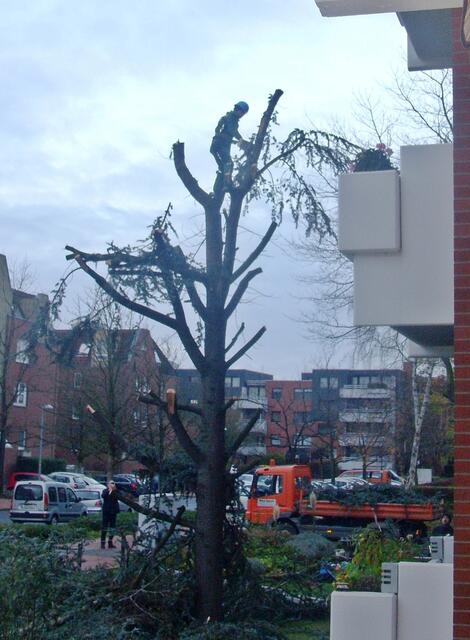 Enthauptet...