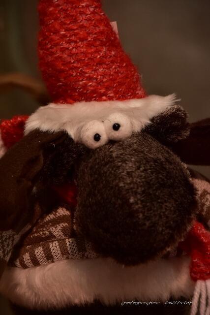 ..ich bin der Weihnachtstroll aus Island
