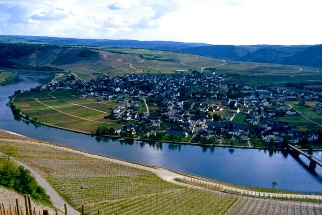 Die Moselschleife