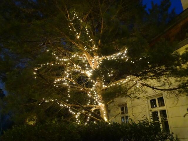 Weihnachtsmarkt beim Schloss Wilhelminenberg Wien 2017