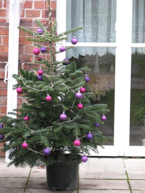 Tolle Farben
