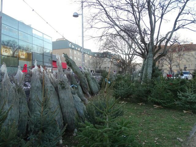 Erste Station: Nietzsche-Platz.