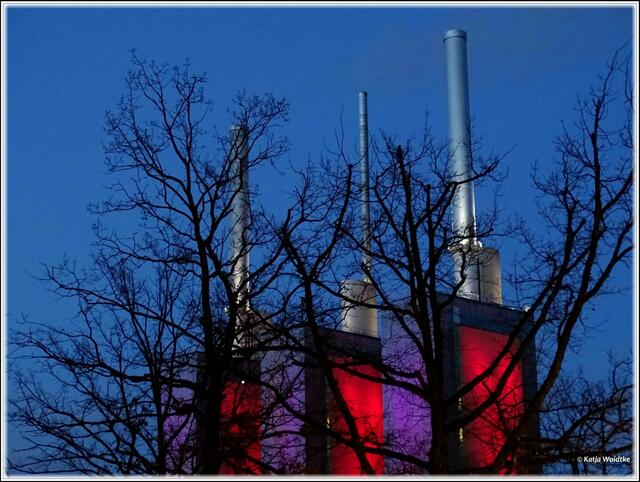 Bizarres Motiv mit kahlen Bäumen am Küchengarten und den leuchtenden drei warmen Brüdern (Foto: Katja Woidtke)