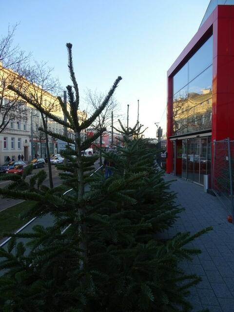 Zweite Station: Vor unserem Supermarkt.