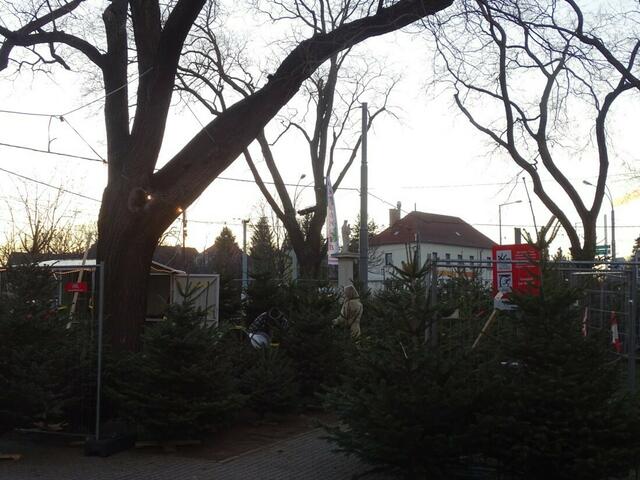 Vierte Station: Bereits im Licht der untergehenden Sonne lag der Verkauf auf dem Joachimsthalerplatz.