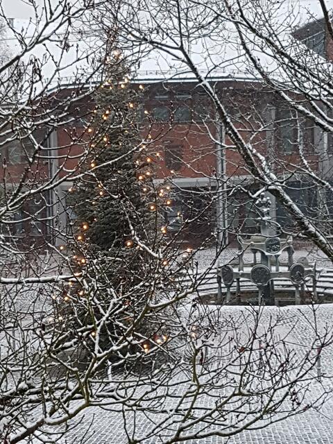 Seit über 4 Wochen schon mein schöner Weihnachtsanblick !