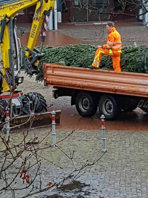 Beim Aufbau vom Christbaum konnte ich zuschauen !