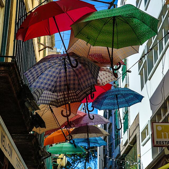 Sogar Regenschirme können fröhliche Stimmung verbreiten.