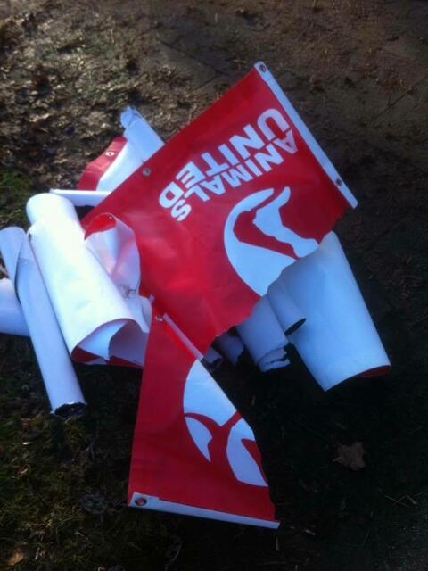 Foto: Animals United