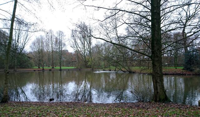 Der Teich im Brinker Park