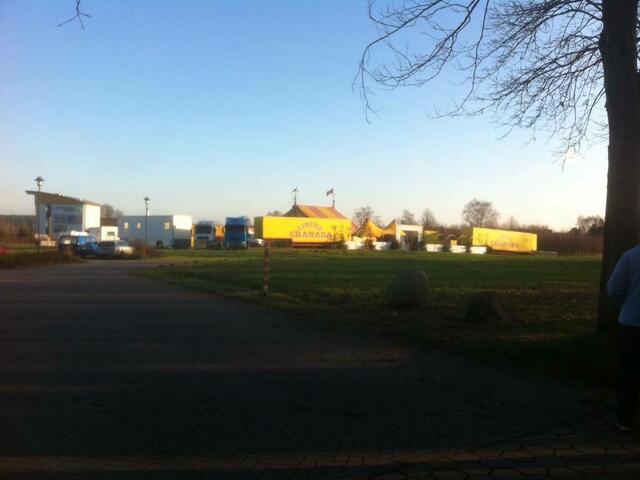 Foto: Animals United