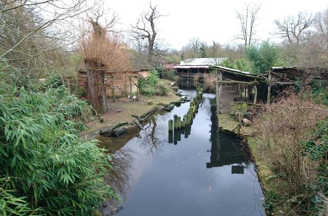 Im Zoo Hannover am 1. Weihnachtstag