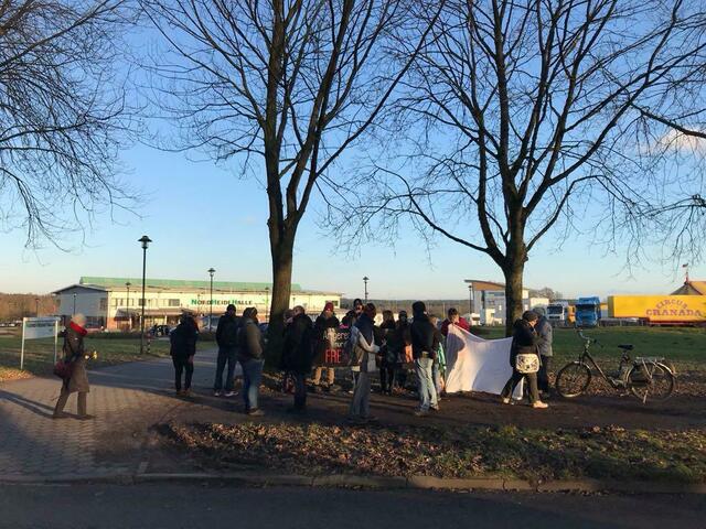 Foto: Animals United