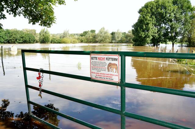 Wiesen an der Leinstraße am Leineufer geflutet (07/2017)