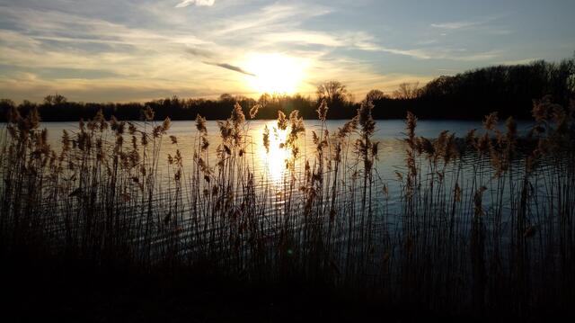 Am Maschsee