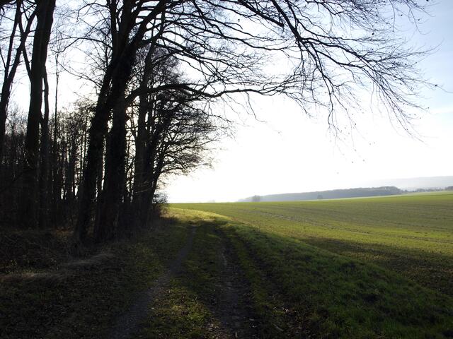 Auf dem Randweg des Limbergs