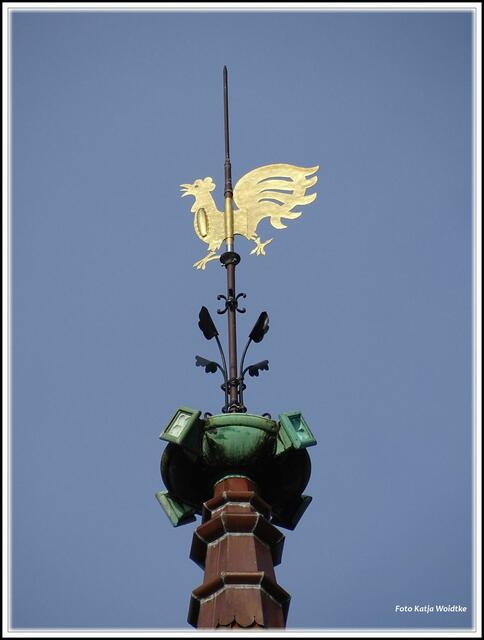 Wetterhahn auf dem Dach der Apostelkirche Hannover (Foto: Katja Woidtke)