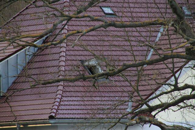 Hier hat Friederike ein Dachfenster "aufgemacht"...