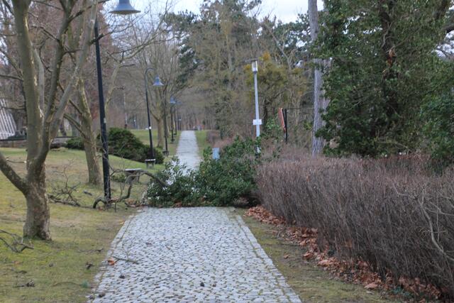 Spazierweg am Gradierwerk