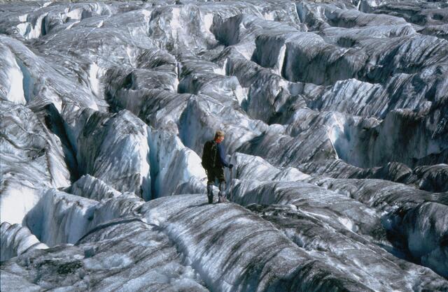 Die dramatisch schnell abtauenden Eisflächen der Gebirgsgletscher und vor allem der Pole, sind mit dem Ruß der Umweltverschmutzung bedeckt. Die schwarzen Partikel beschleunigen den Schmelzvorgang.