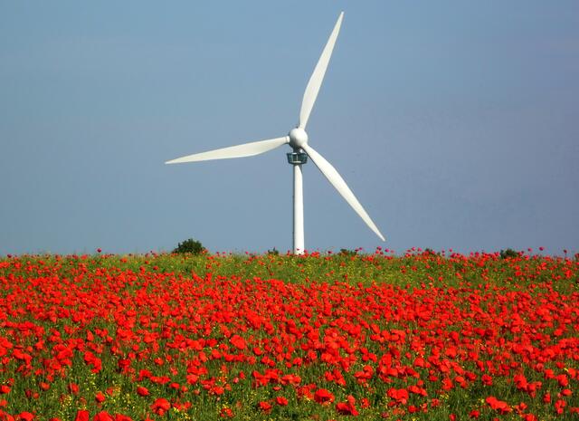 Sie werden unsere Umwelt nur wenig belasten. Eine rasant anwachsende Menschheit benötigt immer mehr Energie.