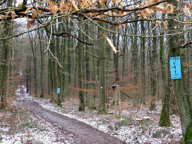 Vita-Parcours in Friedrichsdorf (21.1.2018)