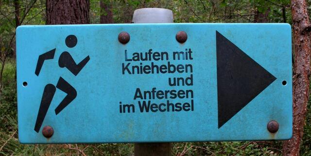 Wegweiser mit Lauftechnik (Waldsportpfad im Forst Rundshorn, 21.09.2016)