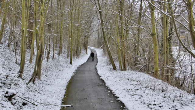Winterrundgang durch unsere Altenburg - 4.2.2018 !