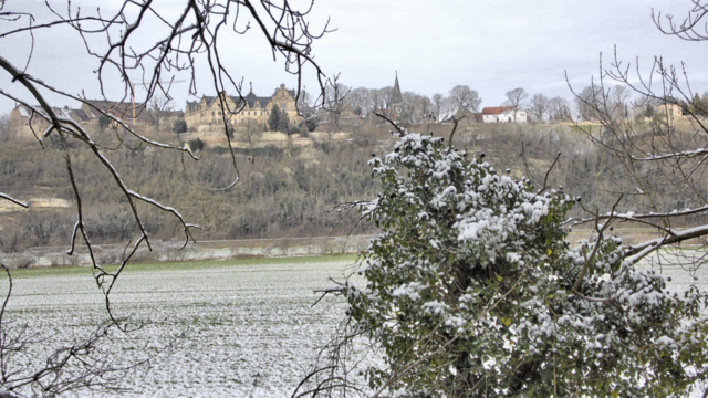 Winterrundgang durch unsere Altenburg - 4.2.2018 !