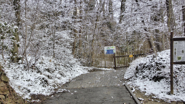 Winterrundgang durch unsere Altenburg - 4.2.2018 !