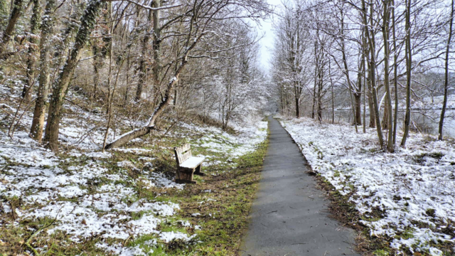 Winterrundgang durch unsere Altenburg - 4.2.2018 !