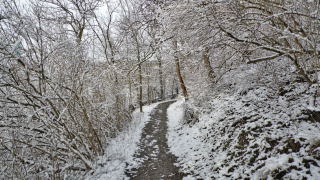 Winterrundgang durch unsere Altenburg - 4.2.2018 !