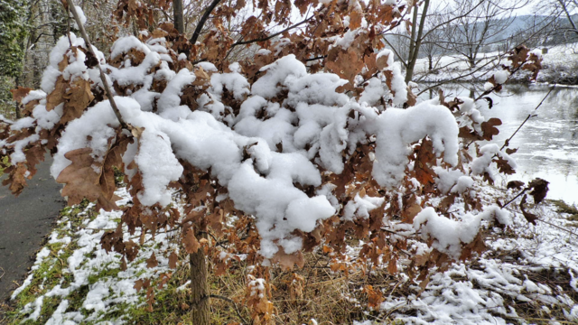Winterrundgang durch unsere Altenburg - 4.2.2018 !