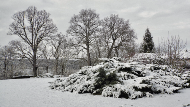 Winterrundgang durch unsere Altenburg - 4.2.2018 !