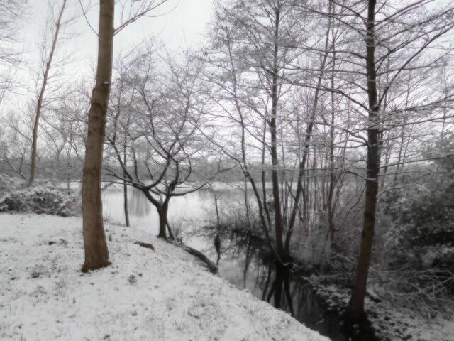 Masurensee Duisburg