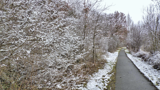 Winterrundgang durch unsere Altenburg - 4.2.2018 !