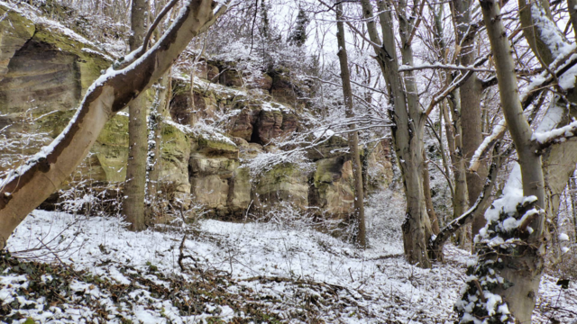 Winterrundgang durch unsere Altenburg - 4.2.2018 !