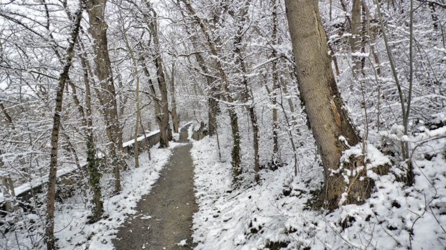 Winterrundgang durch unsere Altenburg - 4.2.2018 !