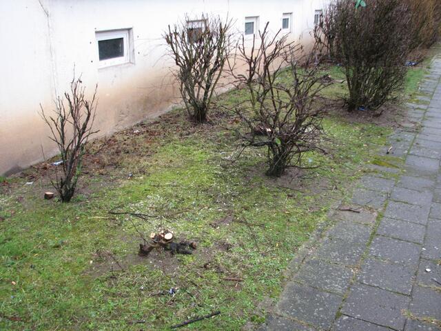Nette Grünanlage