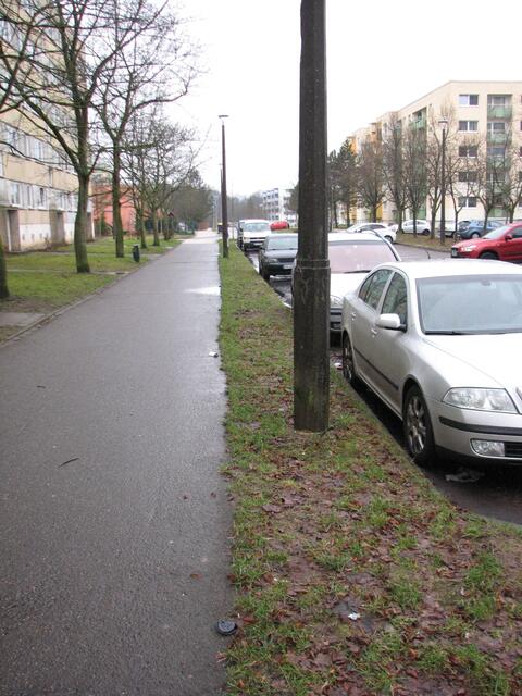 Die Fläche wird von der Stadt scheinbar nicht bewirtschaftet.