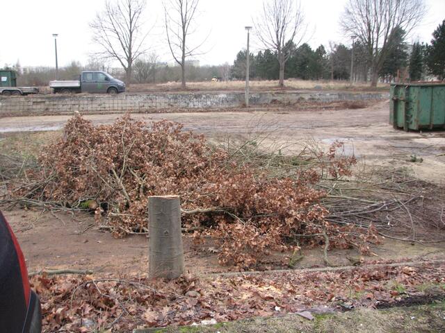 Hier wird ein neues Baugebiet erschlossen(Cottbuser Strasse)