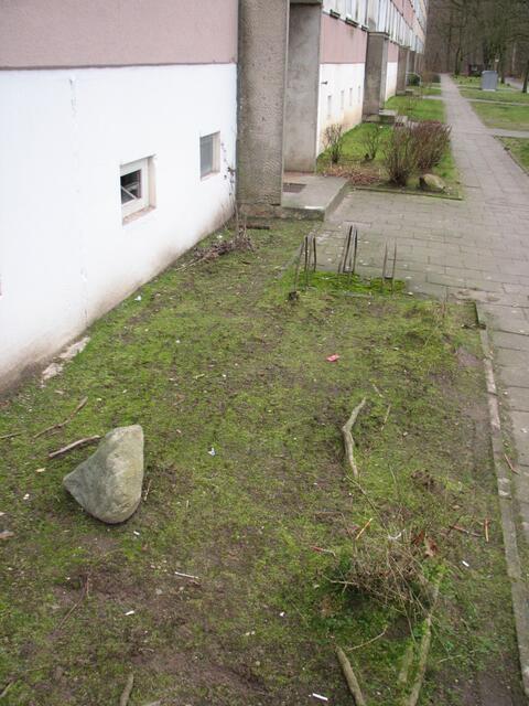 Einer der blühenden Vorgarten des Herrn Mestlin?
