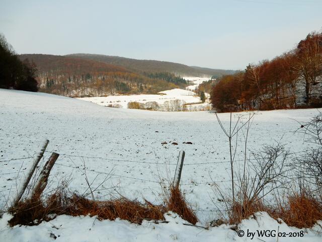 Blick v. Ebachtal zum Nationalpark