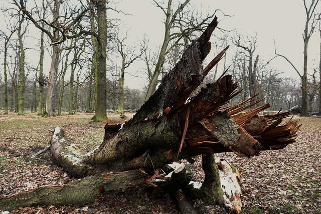 ...weggebrochen...